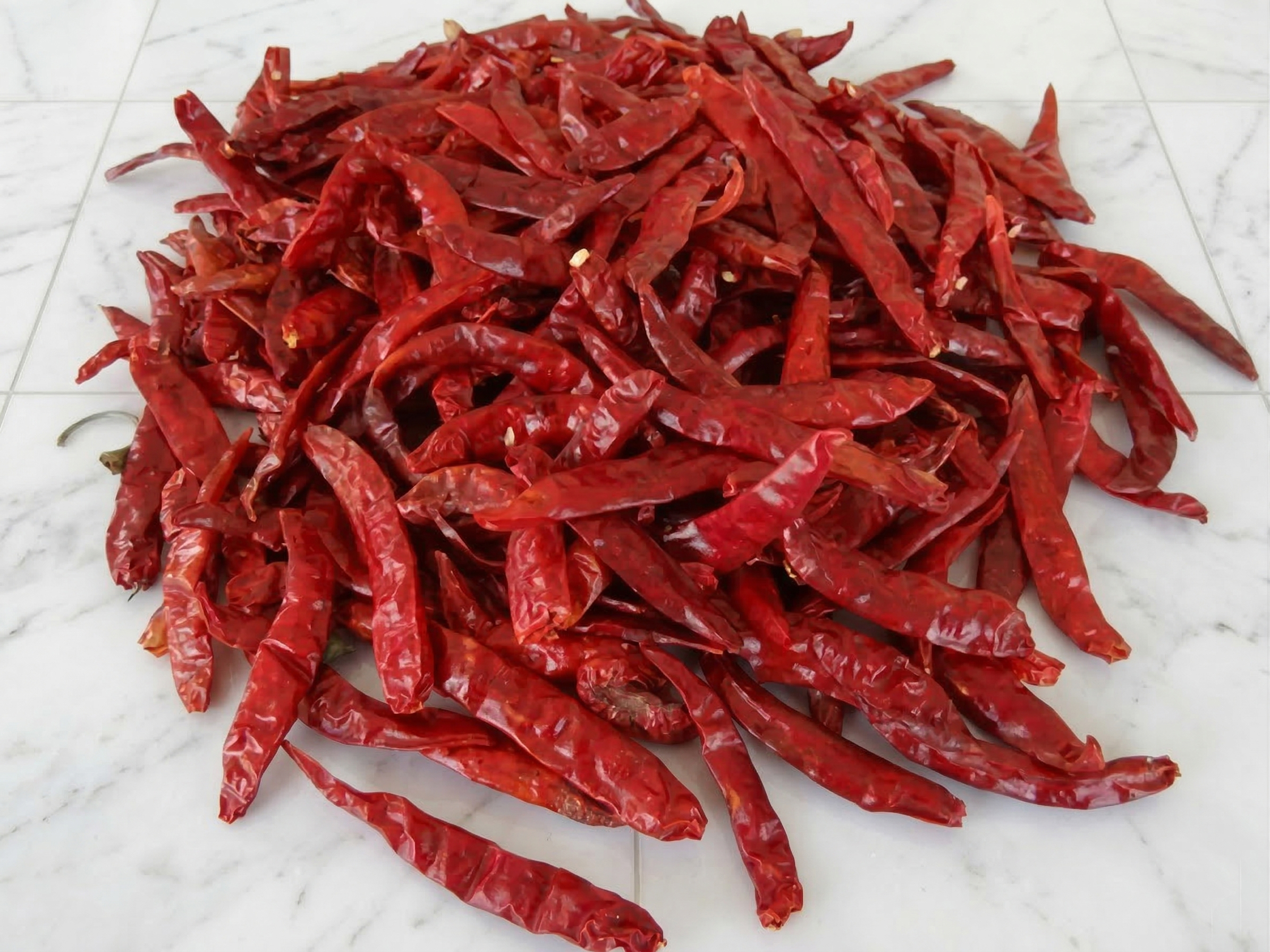 DD Double Digit Red Chilli Guntur Export